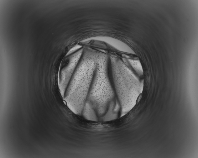 X0000082990379200703020849