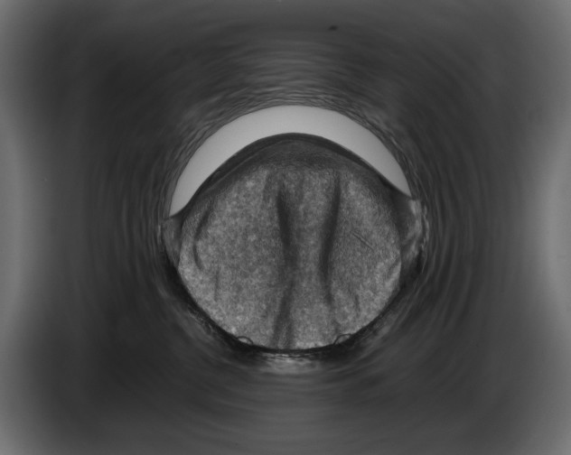 X0000082990380200703020849