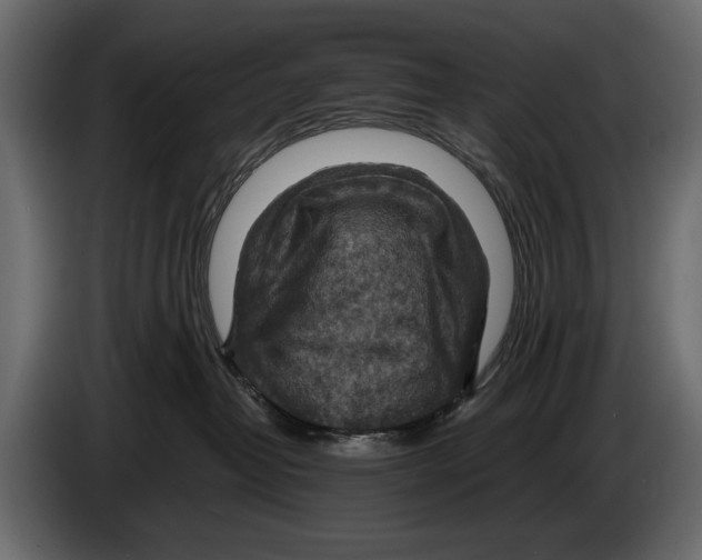 X0000082990382200703020849