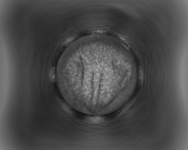 X0000082990383200703020849