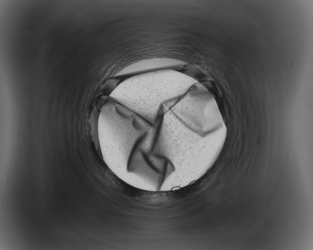 X0000082990384200703020849