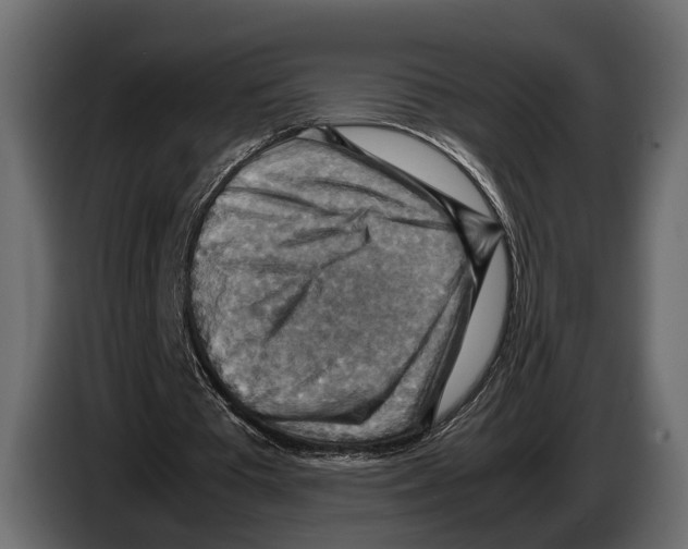 X0000082990385200703020848