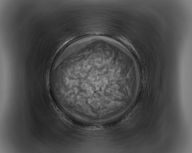 X0000082990386200703020848