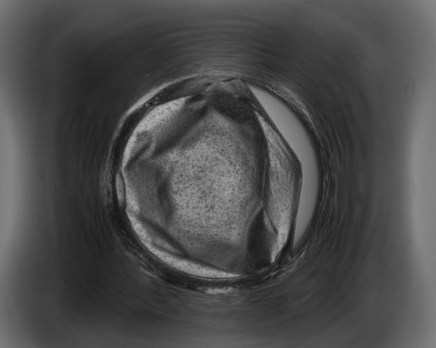 X0000082990388200703020848