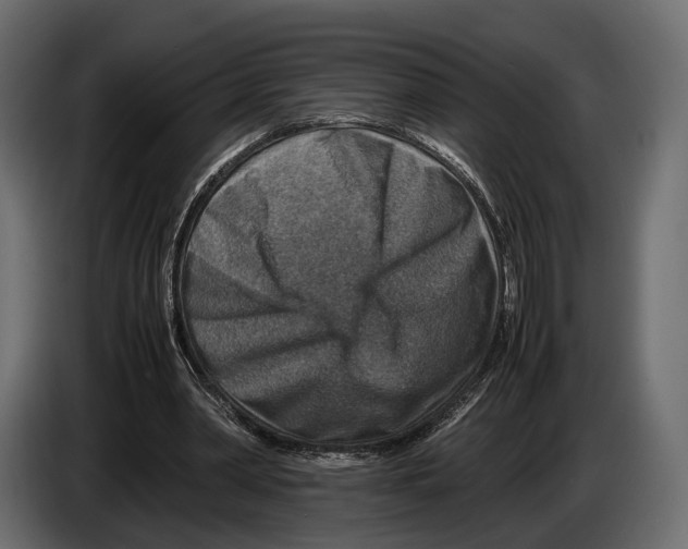 X0000082990390200703020848