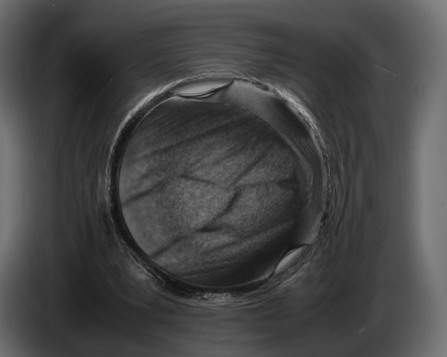 X0000082990391200703020848