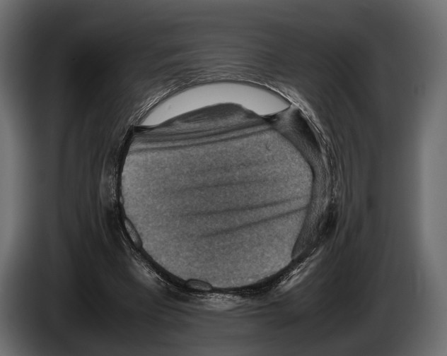 X0000082990393200703020848