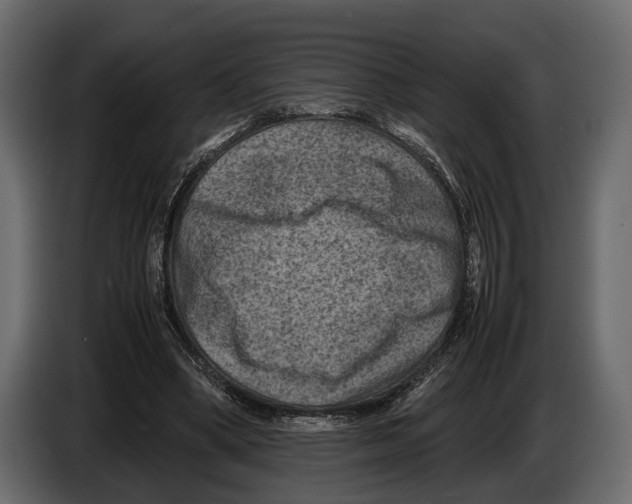 X0000082990394200703020848