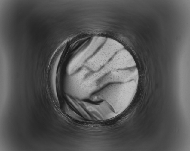 X0000082990395200703020848