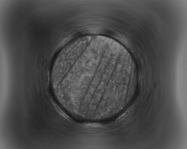 X0000082990397200703020848