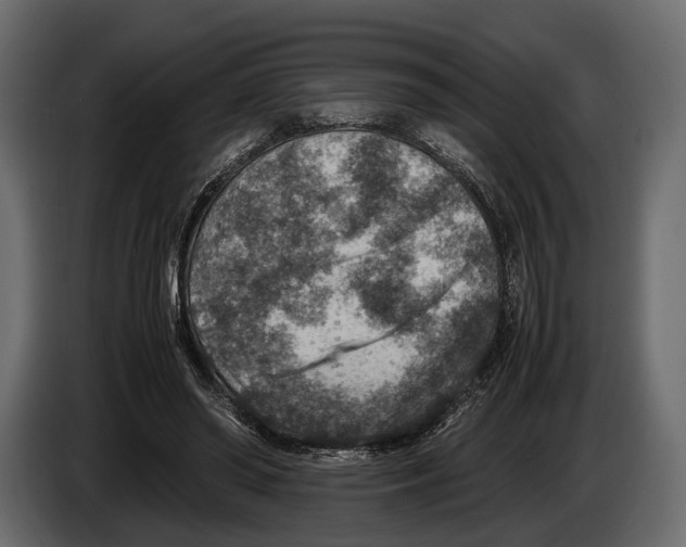 X0000082990398200703020848