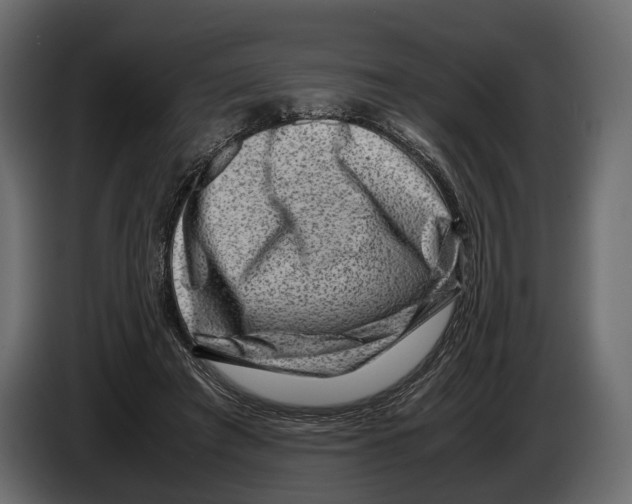 X0000082990401200703020848