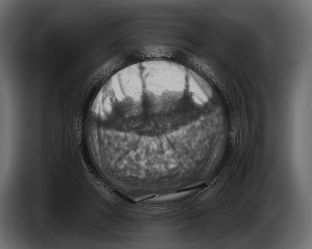 X0000082990402200703020848