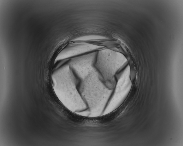 X0000082990403200703020848