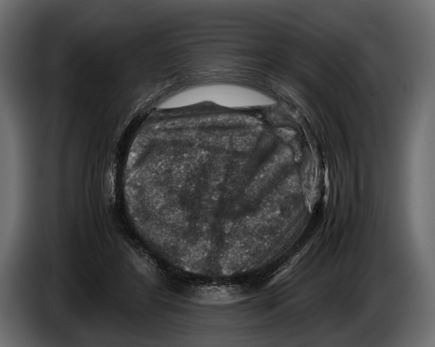 X0000082990404200703020848