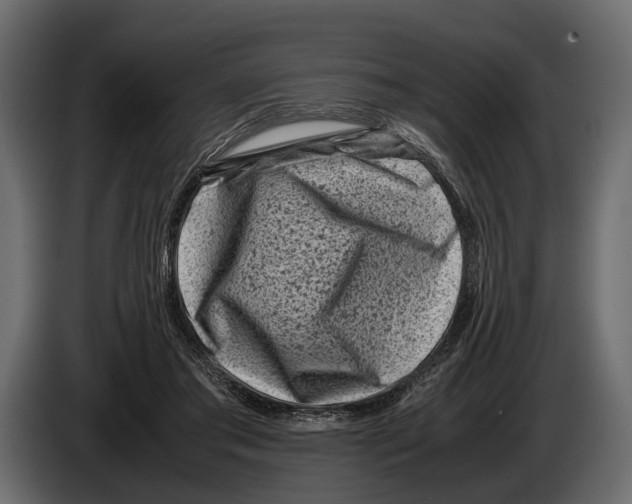 X0000082990405200703020848