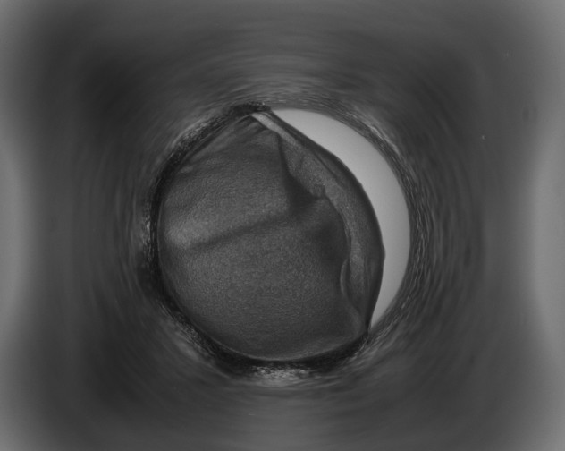 X0000082990407200703020848