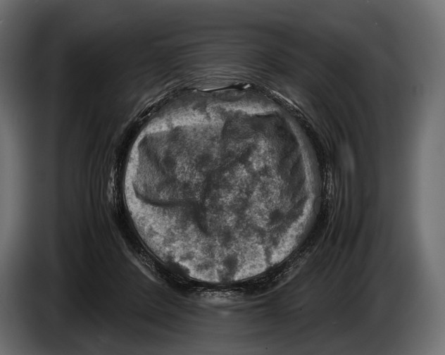 X0000082990408200703020848