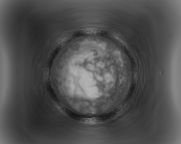 X0000082990411200703020848