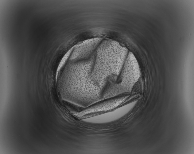 X0000082990413200703020848