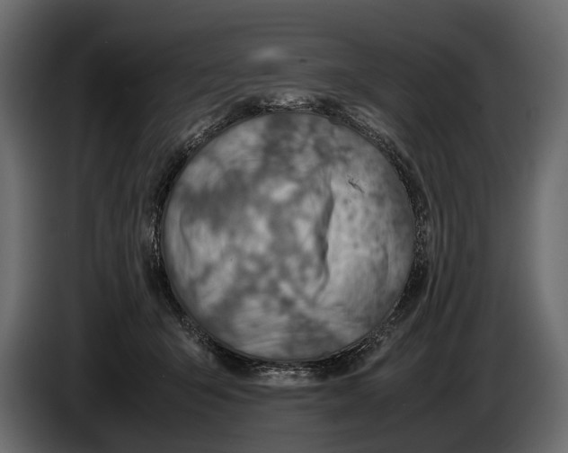 X0000082990415200703020848