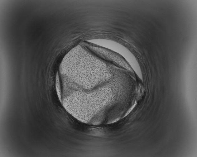 X0000082990417200703020848