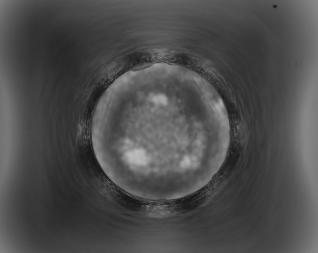 X0000082990419200703020848