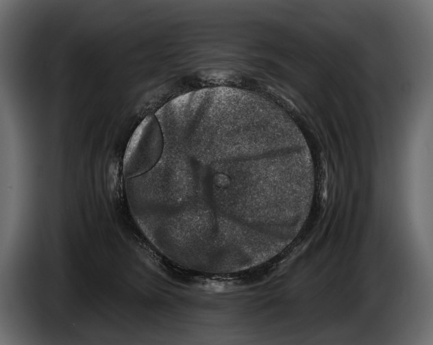 X0000082990420200703020848