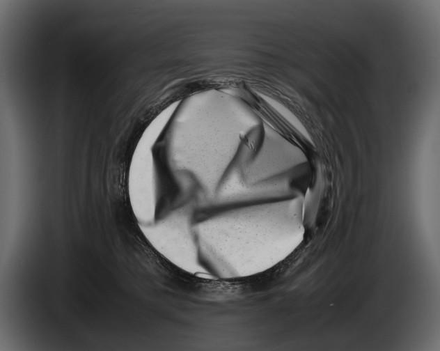 X0000082990421200703020848