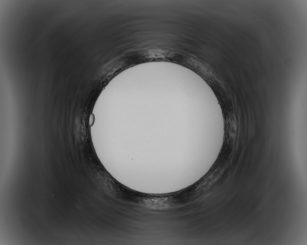 X0000082990422200703020848