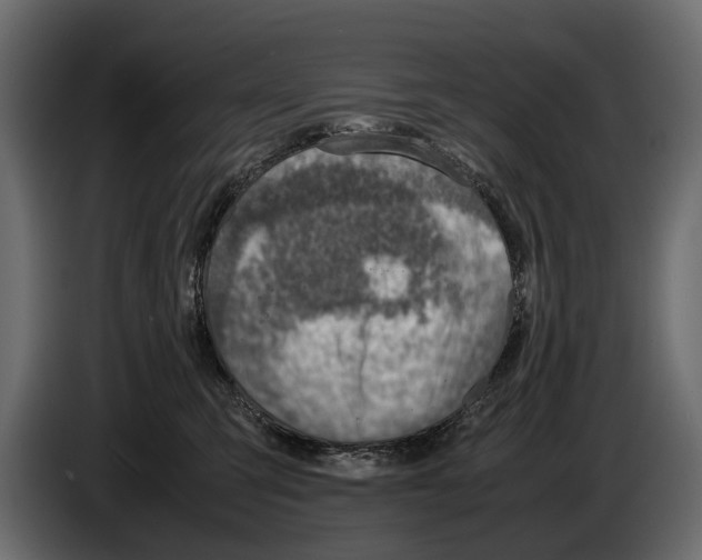 X0000082990423200703020848