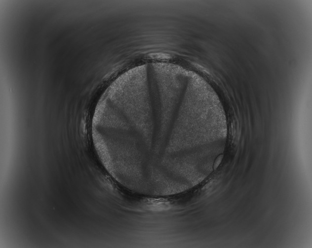 X0000082990424200703020848