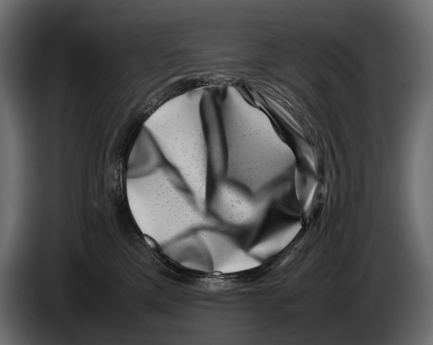 X0000082990425200703020848