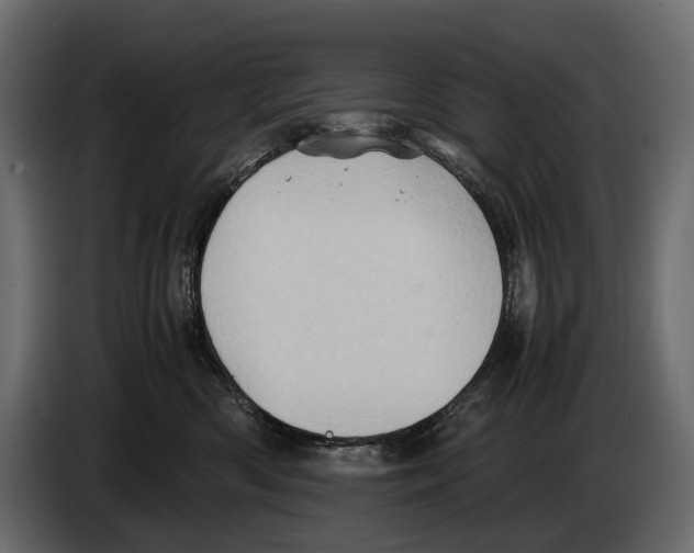 X0000082990426200703020848