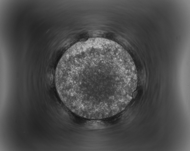 X0000082990427200703020848