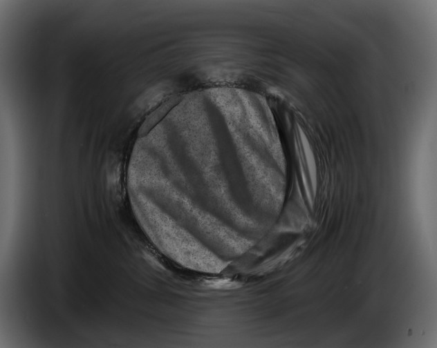 X0000082990428200703020848