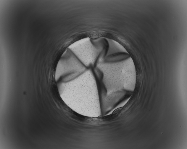 X0000082990429200703020848