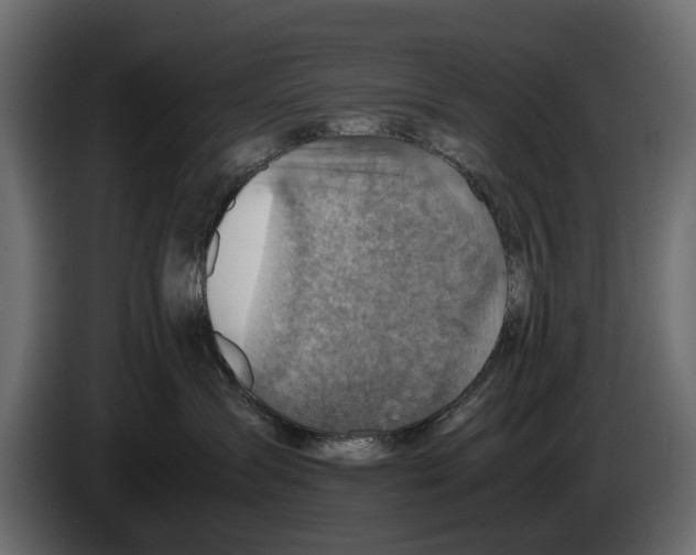 X0000082990431200703020848