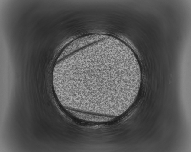 X0000082990433200703020847