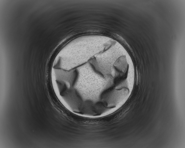 X0000082990435200703020847