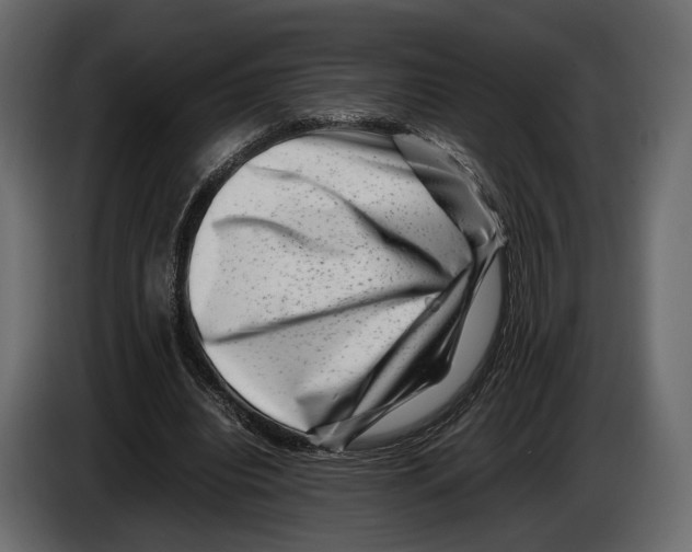 X0000082990440200703020847