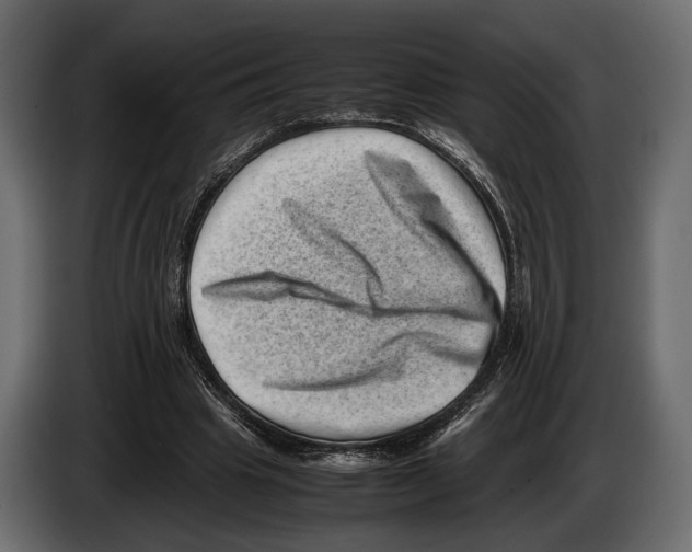 X0000082990441200703020847