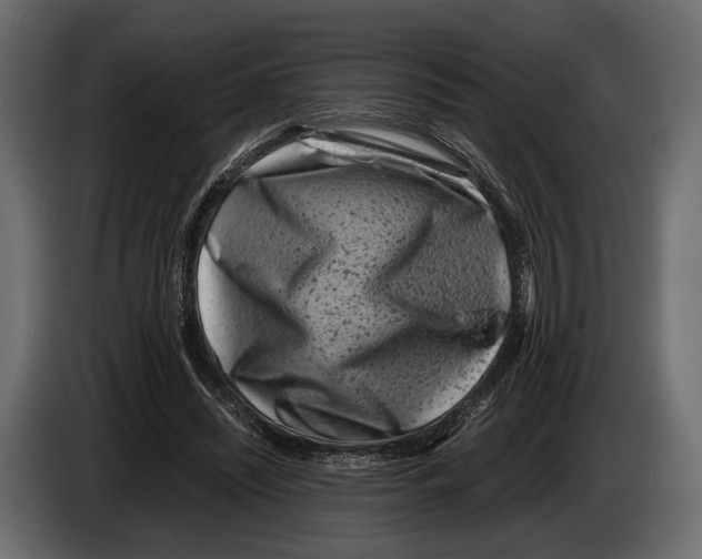 X0000082990444200703020847