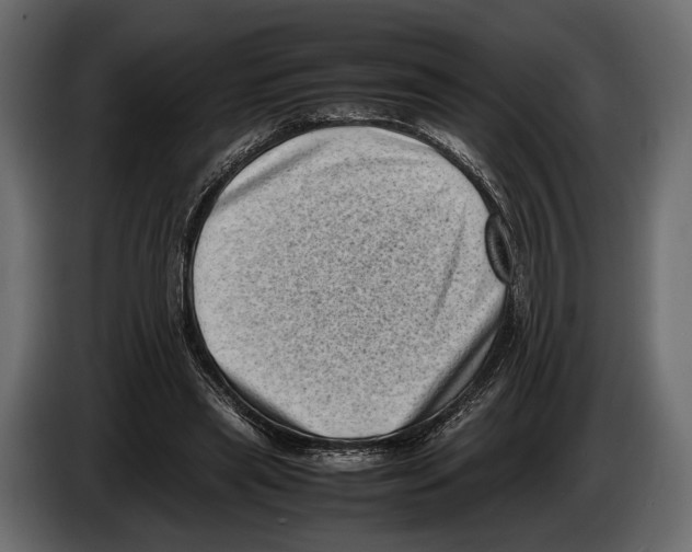 X0000082990445200703020847