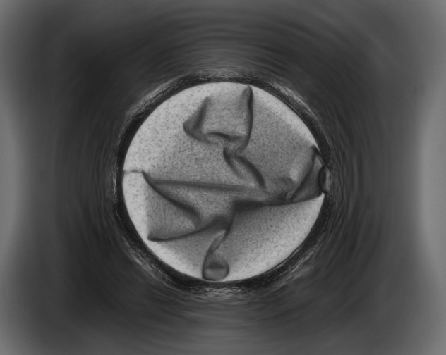 X0000082990446200703020847