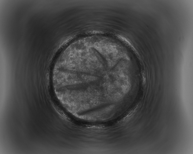 X0000082990447200703020847