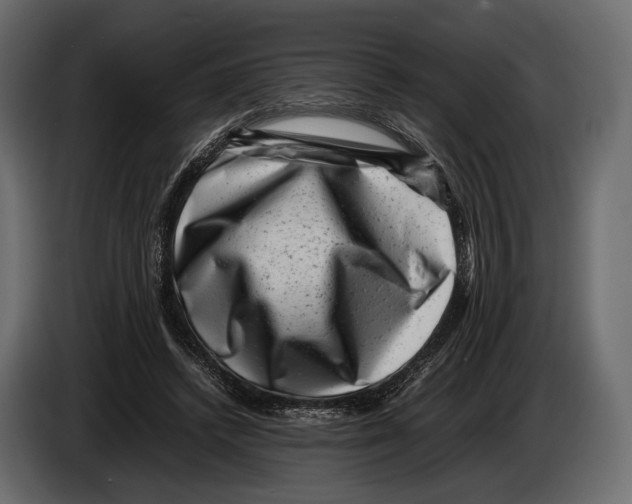 X0000082990448200703020847