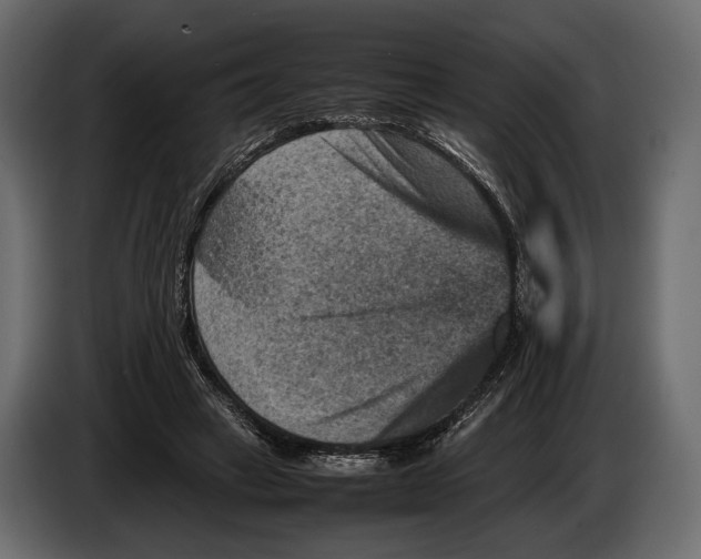 X0000082990449200703020847