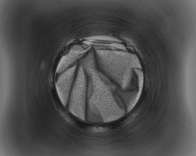 X0000082990453200703020847