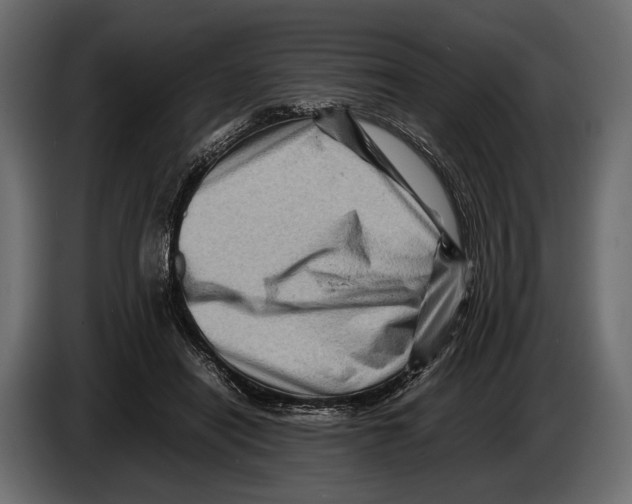 X0000082990454200703020847